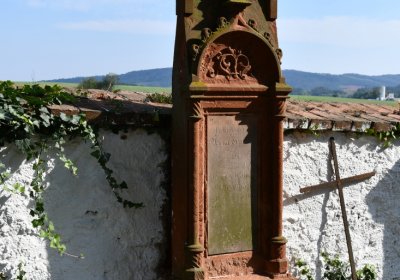 Kryry městský, Omnium, 2020