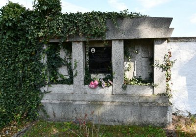 Kryry městský, Omnium, 2020