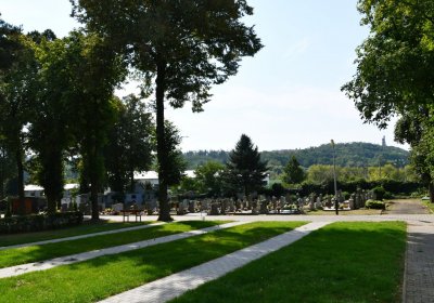 Kryry městský, Omnium, 2020