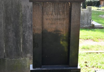 Kryry městský, Omnium, 2020