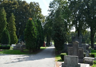 Kryry městský, Omnium, 2020