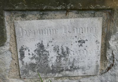 Kryry městský, Omnium, 2020