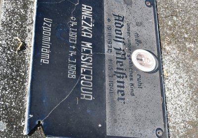 Kryry městský, Omnium, 2020