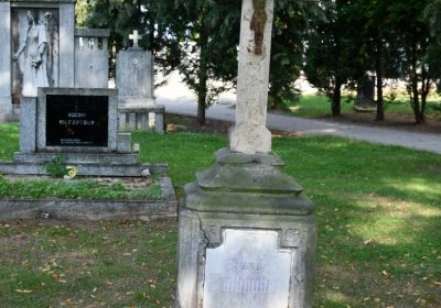 Kryry městský, Omnium, 2020