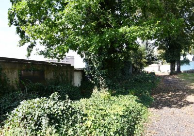 Kryry městský, Omnium, 2020