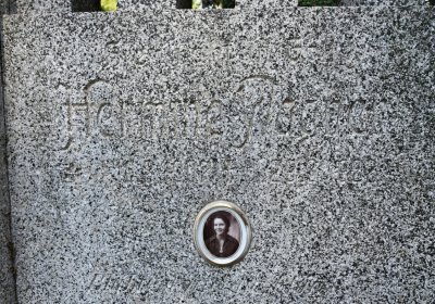 Kryry městský, Omnium, 2020