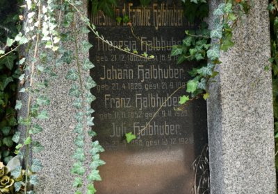 Kryry městský, Omnium, 2020