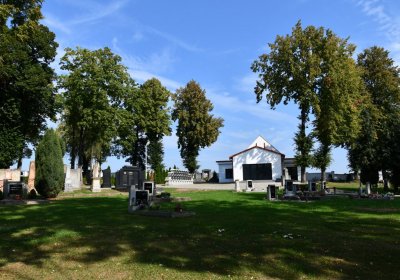 Kryry městský, Omnium, 2020