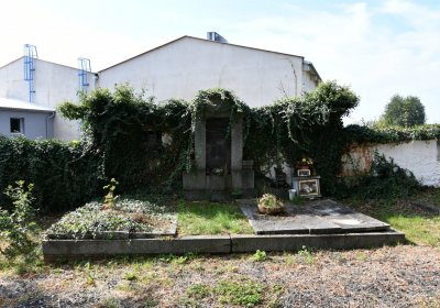 Kryry městský, Omnium, 2020