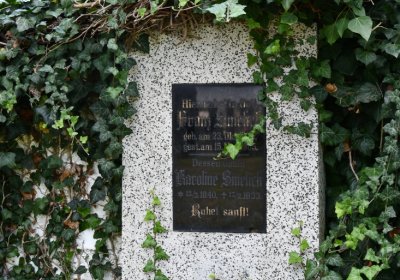 Kryry městský, Omnium, 2020