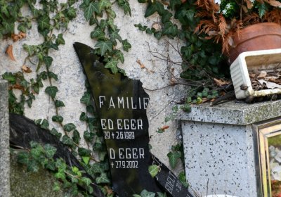 Kryry městský, Omnium, 2020