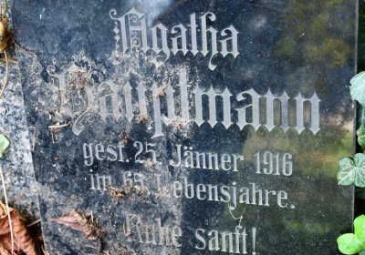 Kryry městský, Omnium, 2020