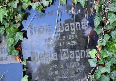 Kryry městský, Omnium, 2020