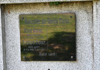 Kryry městský, Omnium, 2020