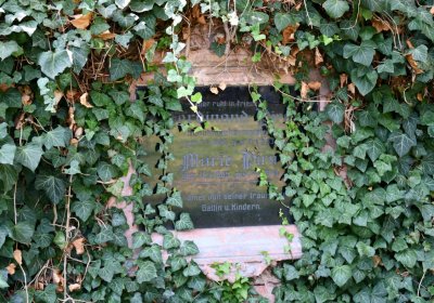 Kryry městský, Omnium, 2020