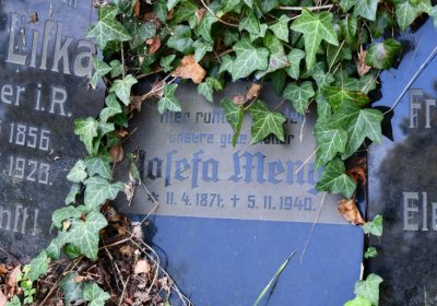 Kryry městský, Omnium, 2020