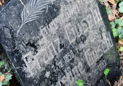 Kryry městský, Omnium, 2020