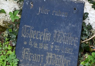 Kryry městský, Omnium, 2020