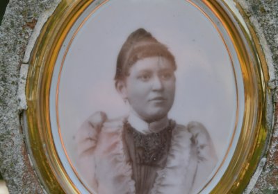 Kryry městský, Omnium, 2020