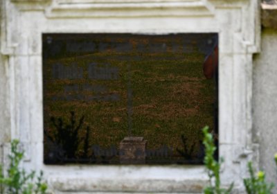 Kryry městský, Omnium, 2020