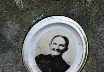 Kryry městský, Omnium, 2020