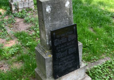 Kryry městský, Omnium, 2020