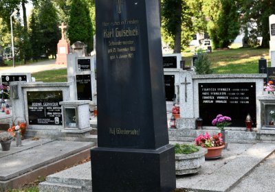 Kryry městský, Omnium, 2020