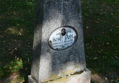 Kryry městský, Omnium, 2020