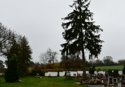 Běsno, Omnium, 2020