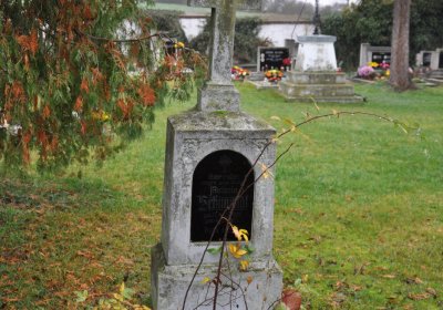 Běsno, Omnium, 2020