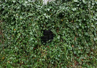 Běsno, Omnium, 2020