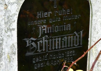 Běsno, Omnium, 2020