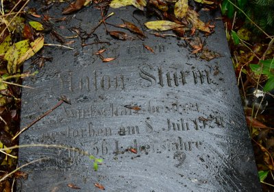 Běsno, Omnium, 2020