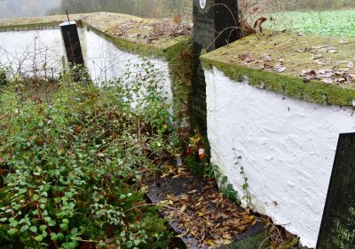 Běsno, Omnium, 2020