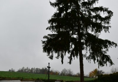 Běsno, Omnium, 2020