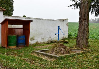 Běsno, Omnium, 2020