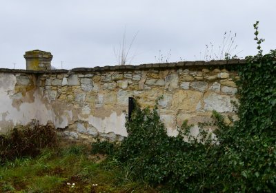 Měcholupy, Omnium, 2020