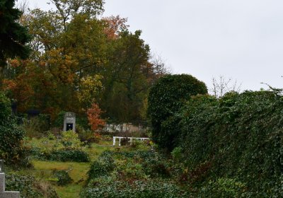 Měcholupy, Omnium, 2020