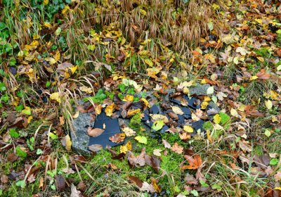 Měcholupy, Omnium, 2020