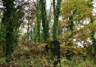 Měcholupy, Omnium, 2020