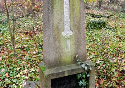 Měcholupy, Omnium, 2020