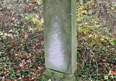 Měcholupy, Omnium, 2020