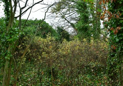 Měcholupy, Omnium, 2020