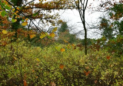 Měcholupy, Omnium, 2020