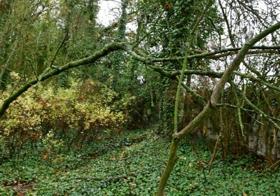 Měcholupy, Omnium, 2020