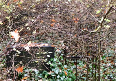 Měcholupy, Omnium, 2020