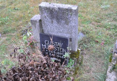 Měcholupy, Omnium, 2020