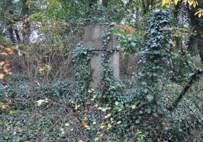 Měcholupy, Omnium, 2020