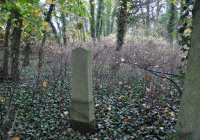 Měcholupy, Omnium, 2020