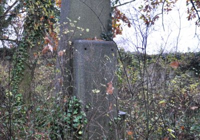 Měcholupy, Omnium, 2020